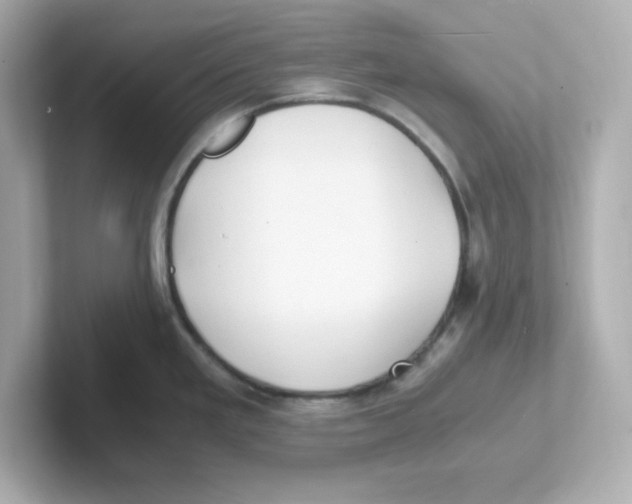 X0000101101293200807241020