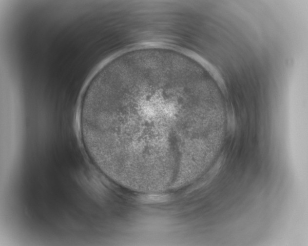 X0000101101294200807241020