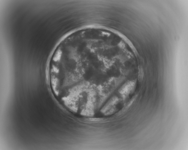 X0000101101295200807241020