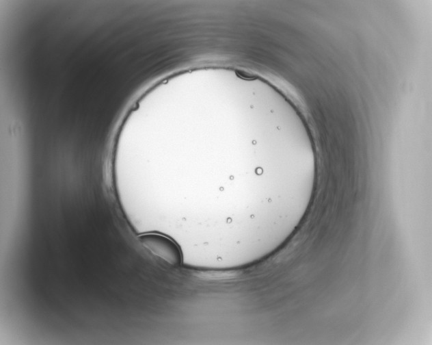 X0000101101296200807241020