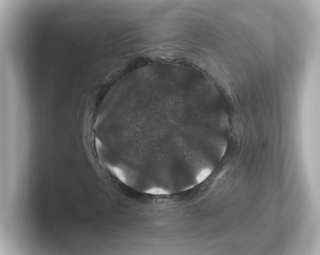 X0000101101297200807241020