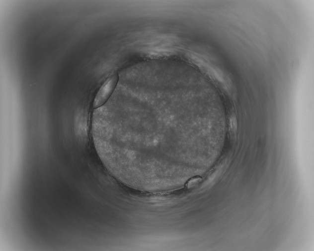 X0000101101300200807241020