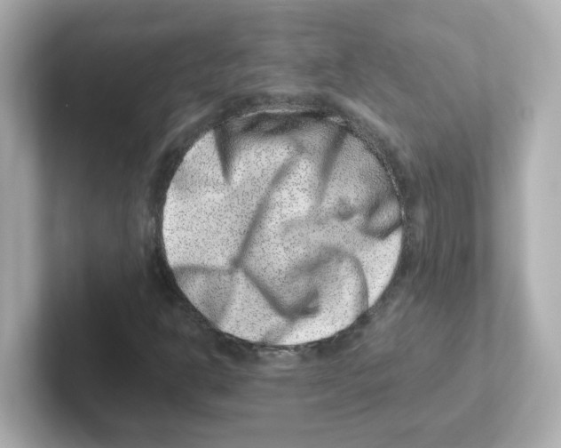 X0000101101302200807241020