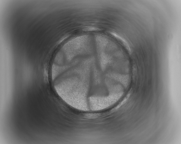 X0000101101305200807241020