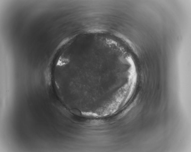X0000101101306200807241020