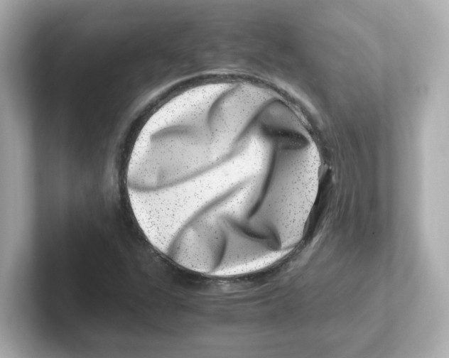 X0000101101311200807241020