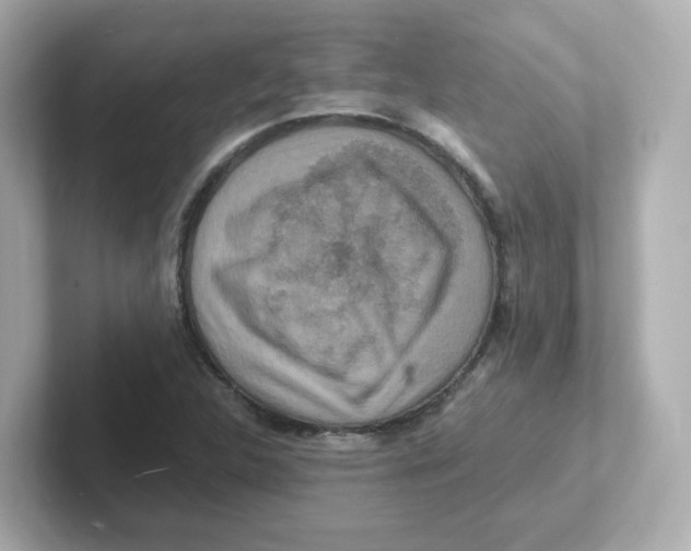 X0000101101312200807241020