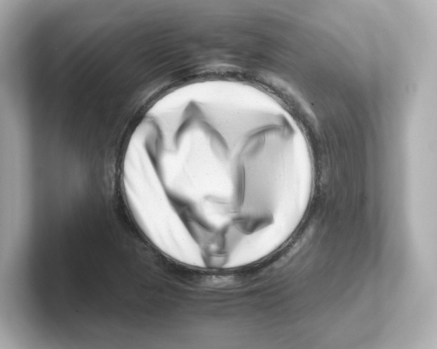 X0000101101313200807241020