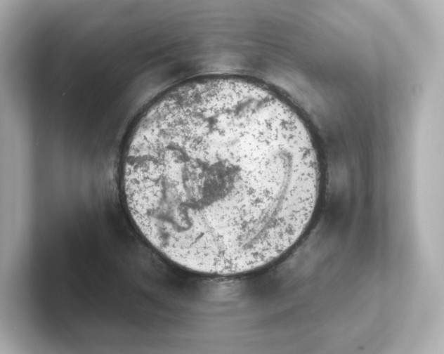X0000101101314200807241020