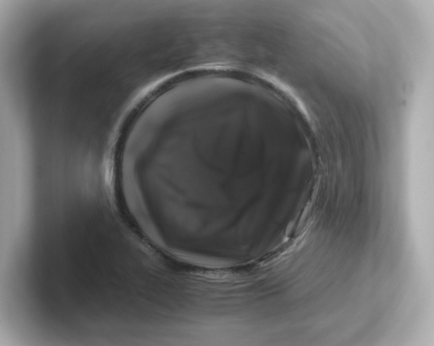 X0000101101319200807241020