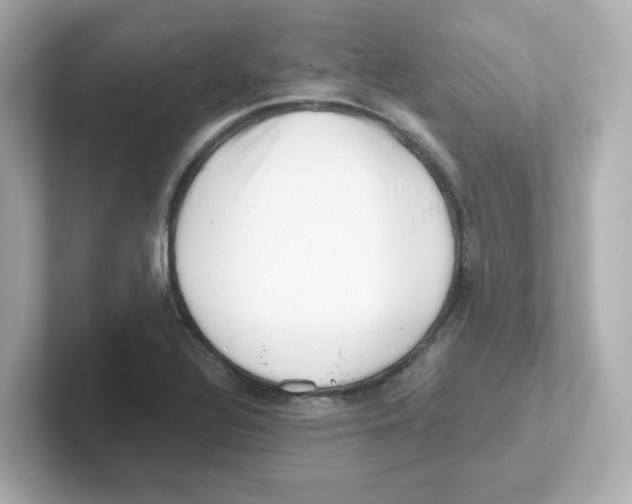 X0000101101320200807241020