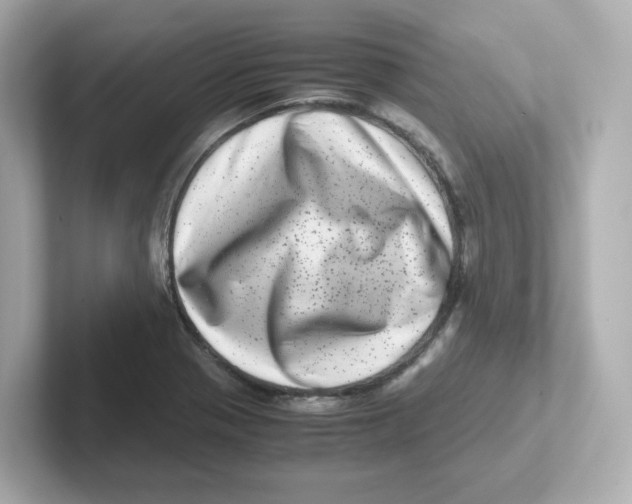X0000101101321200807241020