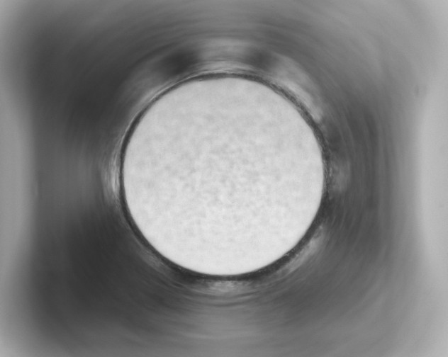 X0000101101322200807241020