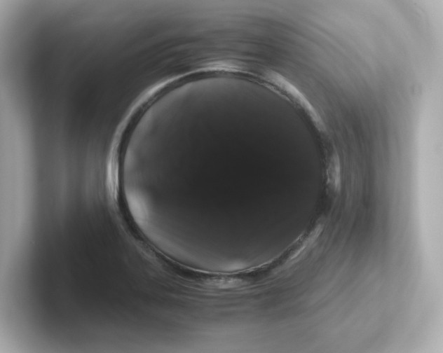 X0000101101323200807241020