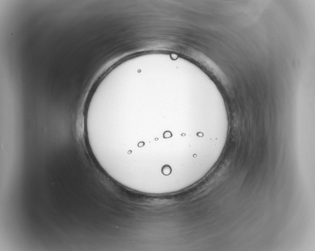 X0000101101324200807241020