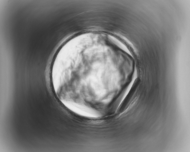 X0000101101325200807241020