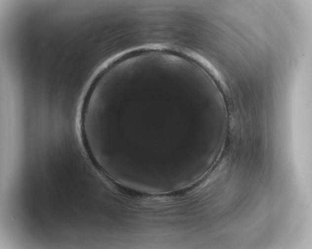 X0000101101327200807241020