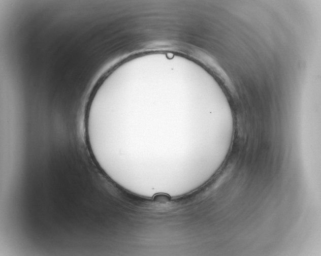 X0000101101328200807241020
