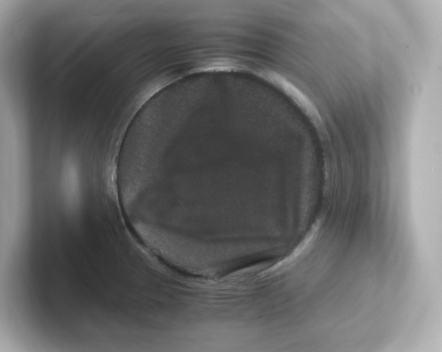 X0000101101329200807241020