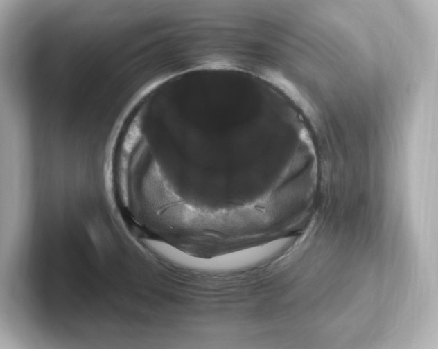 X0000101101331200807241020