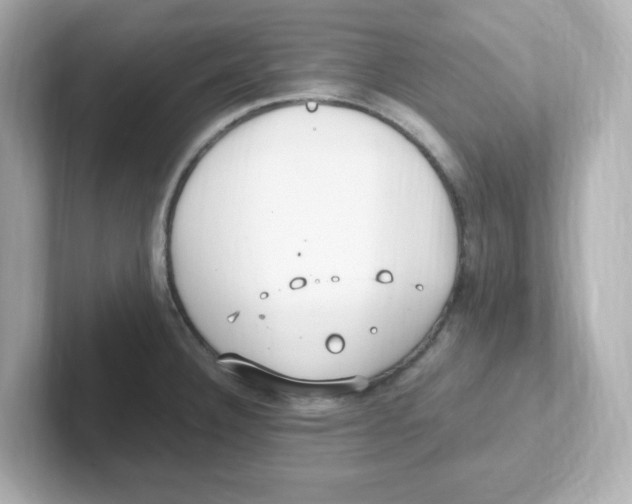 X0000101101332200807241020