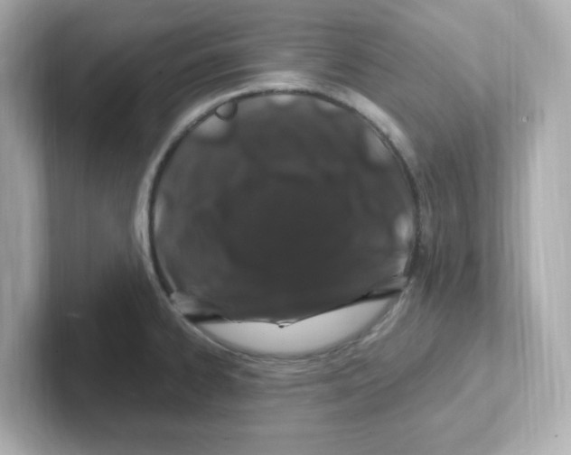 X0000101101334200807241020