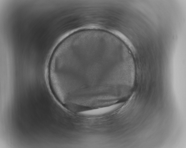 X0000101101335200807241020