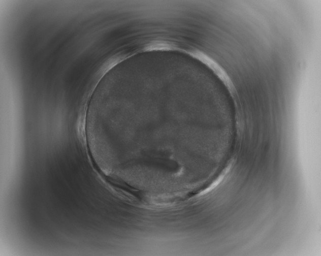X0000101101337200807241020
