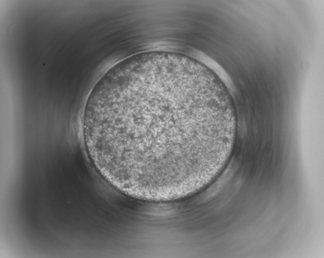 X0000101101338200807241020
