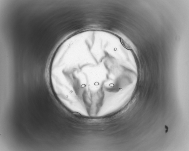 X0000101101341200807241020