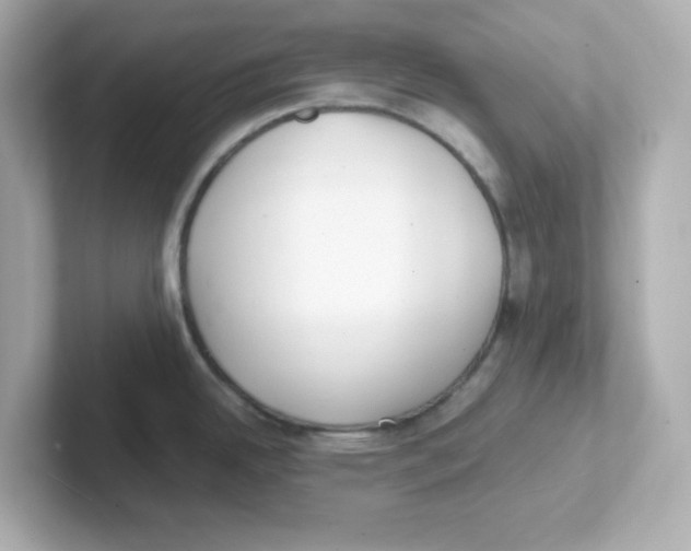 X0000101101342200807241020