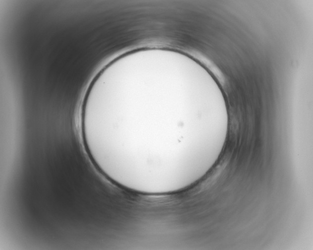X0000101101343200807241020