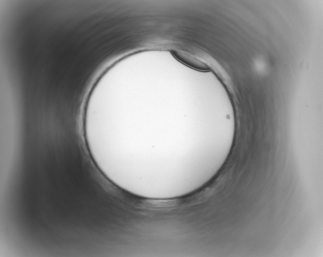 X0000101101344200807241020