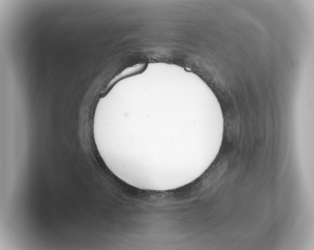 X0000101101345200807241020
