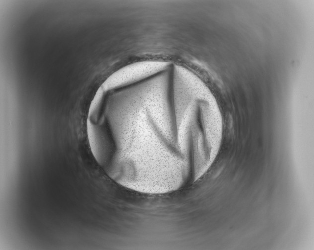 X0000101101350200807241020