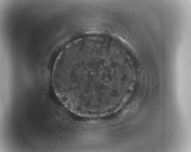 X0000101101351200807241019