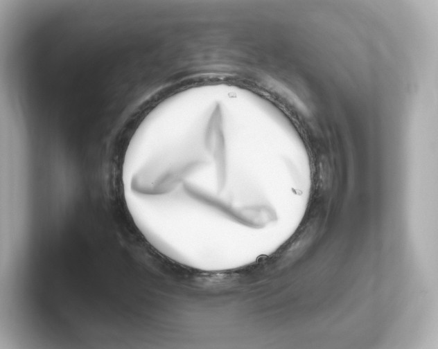 X0000101101352200807241019