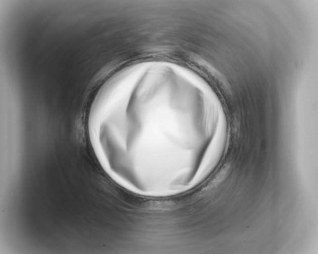 X0000101101354200807241019