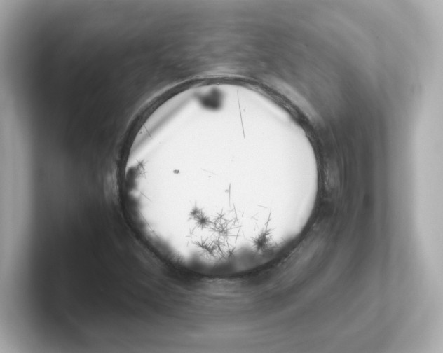 X0000101101356200807241019