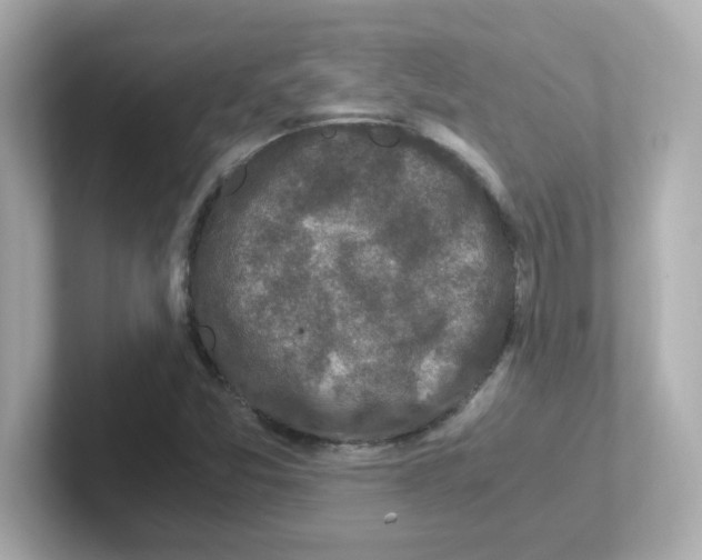 X0000101101357200807241019