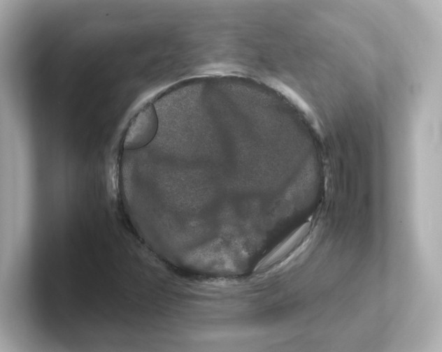 X0000101101358200807241019