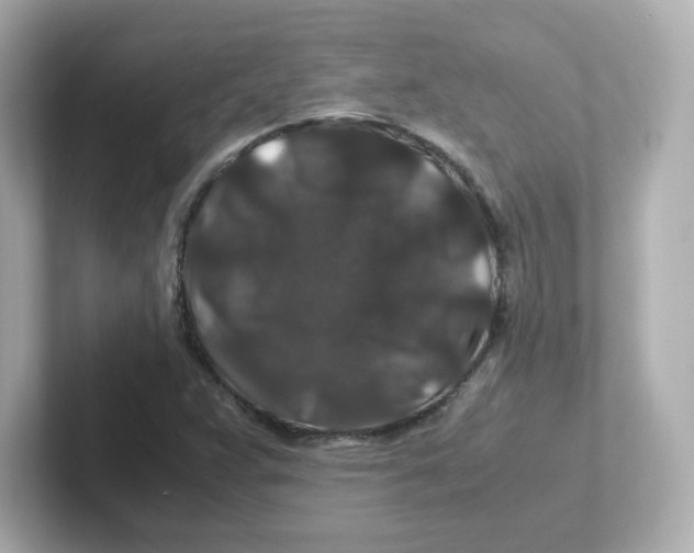 X0000101101359200807241019