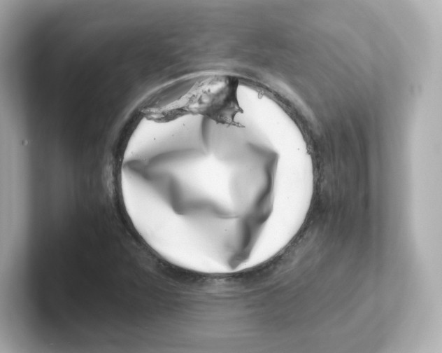 X0000101101360200807241019