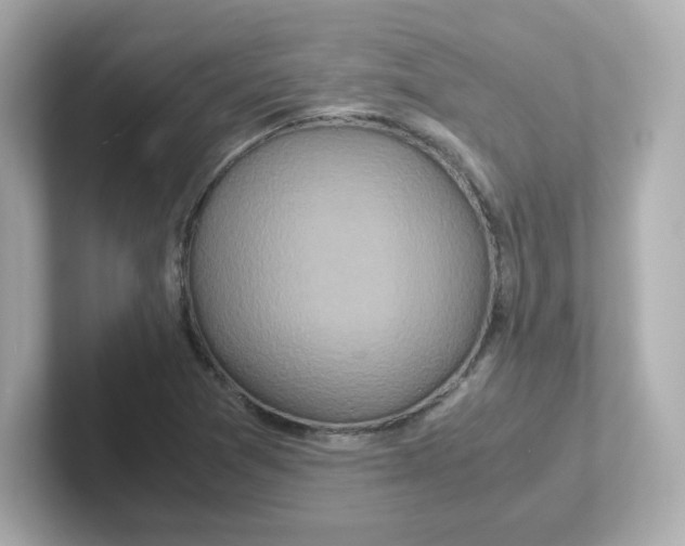 X0000101101361200807241019