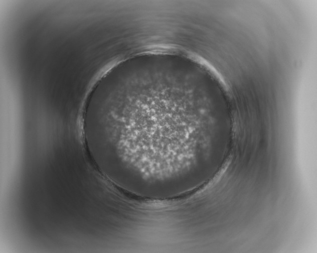 X0000101101362200807241019
