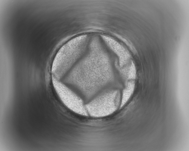 X0000101101363200807241019