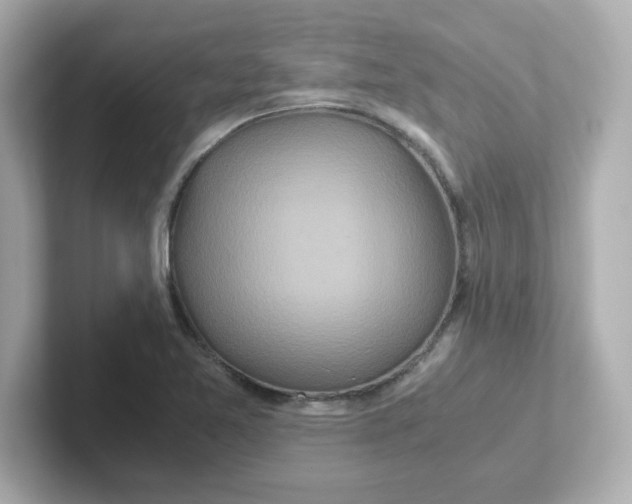 X0000101101365200807241019