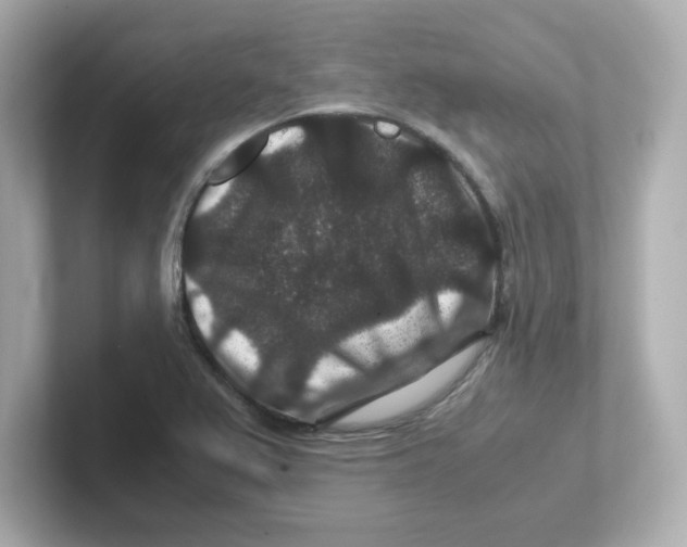 X0000101101367200807241019