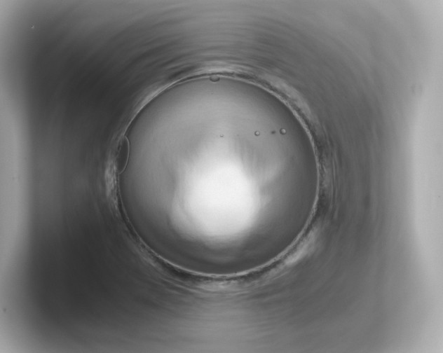 X0000101101369200807241019
