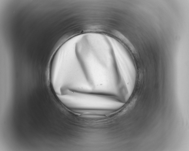 X0000101101370200807241019